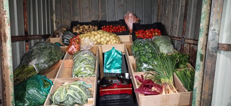 المشروع الأول