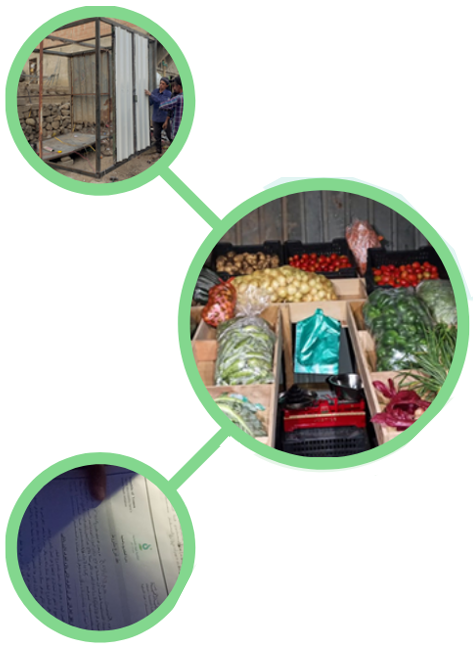 المشروع الثامن والعشرون