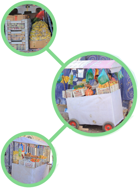 المشروع الثاني والثلاثون